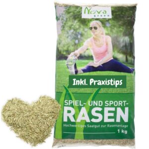 Premium lawn seeds quick germinating